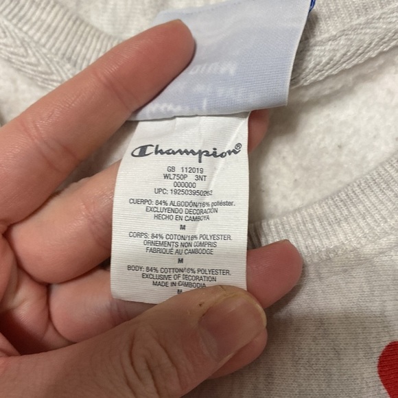 Gray Champion Logo crew neck cotton sweater, size medium - Picture 5 of 10